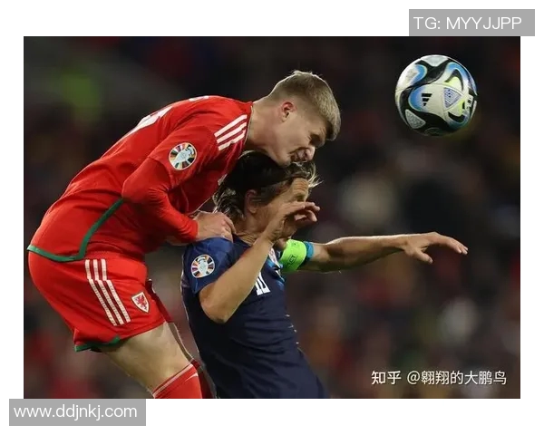 欧洲杯：威尔士队遗憾出局，满腔热血铸就绿茵传奇