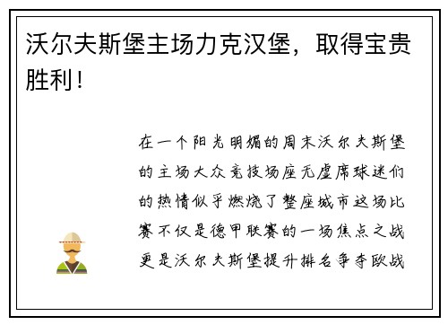 沃尔夫斯堡主场力克汉堡，取得宝贵胜利！